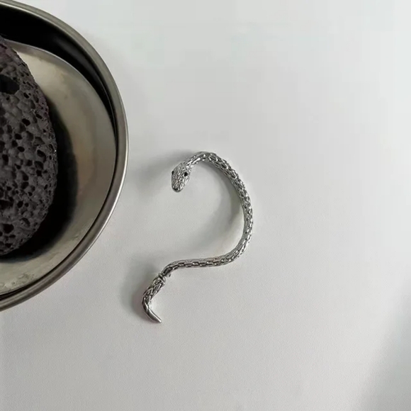 Snake Earhook Gothic Earring - Picture 2 of 7